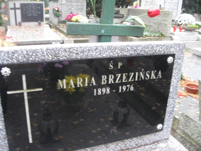 Maria Brzezińska 1898 Warszawa Ewangelicko-Reformowany - Grobonet - Wyszukiwarka osób pochowanych