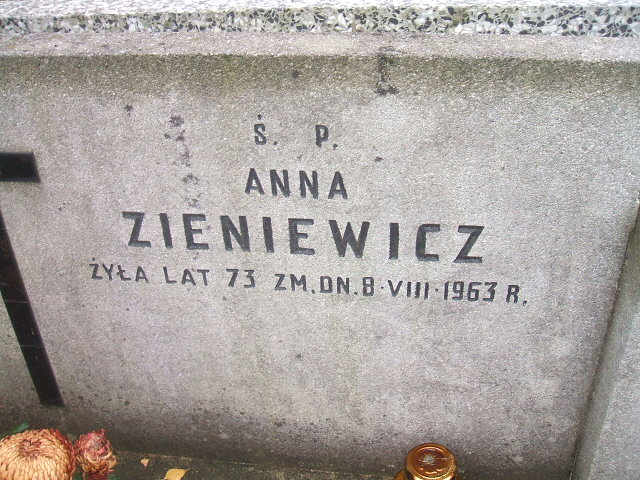 Anna Zieniewicz 1890 Warszawa Ewangelicko-Reformowany - Grobonet - Wyszukiwarka osób pochowanych