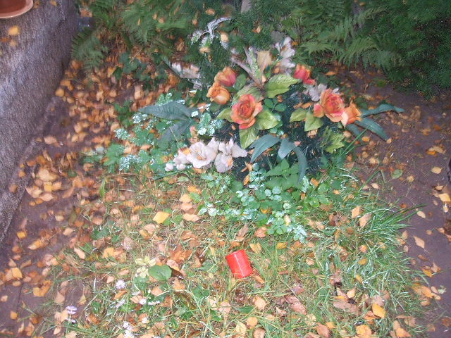 Daniel Biedź-Bielawski 1933 Warszawa Ewangelicko-Reformowany - Grobonet - Wyszukiwarka osób pochowanych