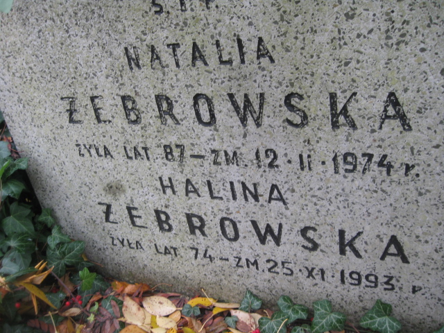 Natalia Żebrowska 1887 Warszawa Ewangelicko-Reformowany - Grobonet - Wyszukiwarka osób pochowanych