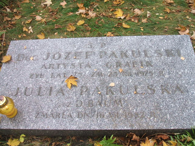 Julia Pakulska 1899 Warszawa Ewangelicko-Reformowany - Grobonet - Wyszukiwarka osób pochowanych