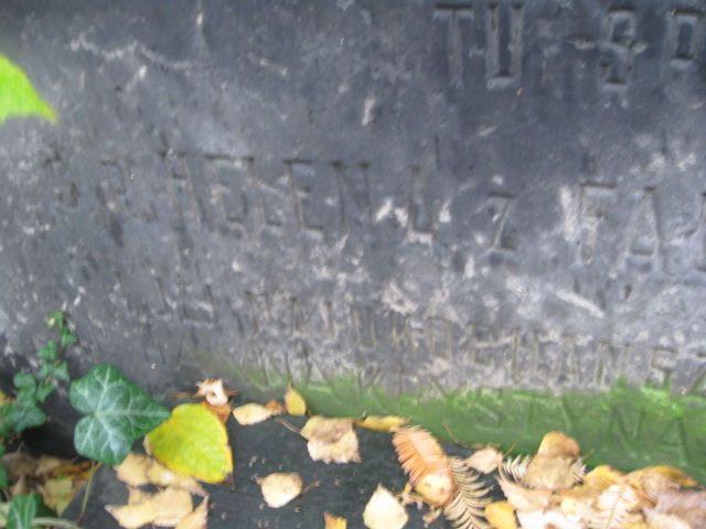 Helena Fałat -Niemczewska Warszawa Ewangelicko-Reformowany - Grobonet - Wyszukiwarka osób pochowanych