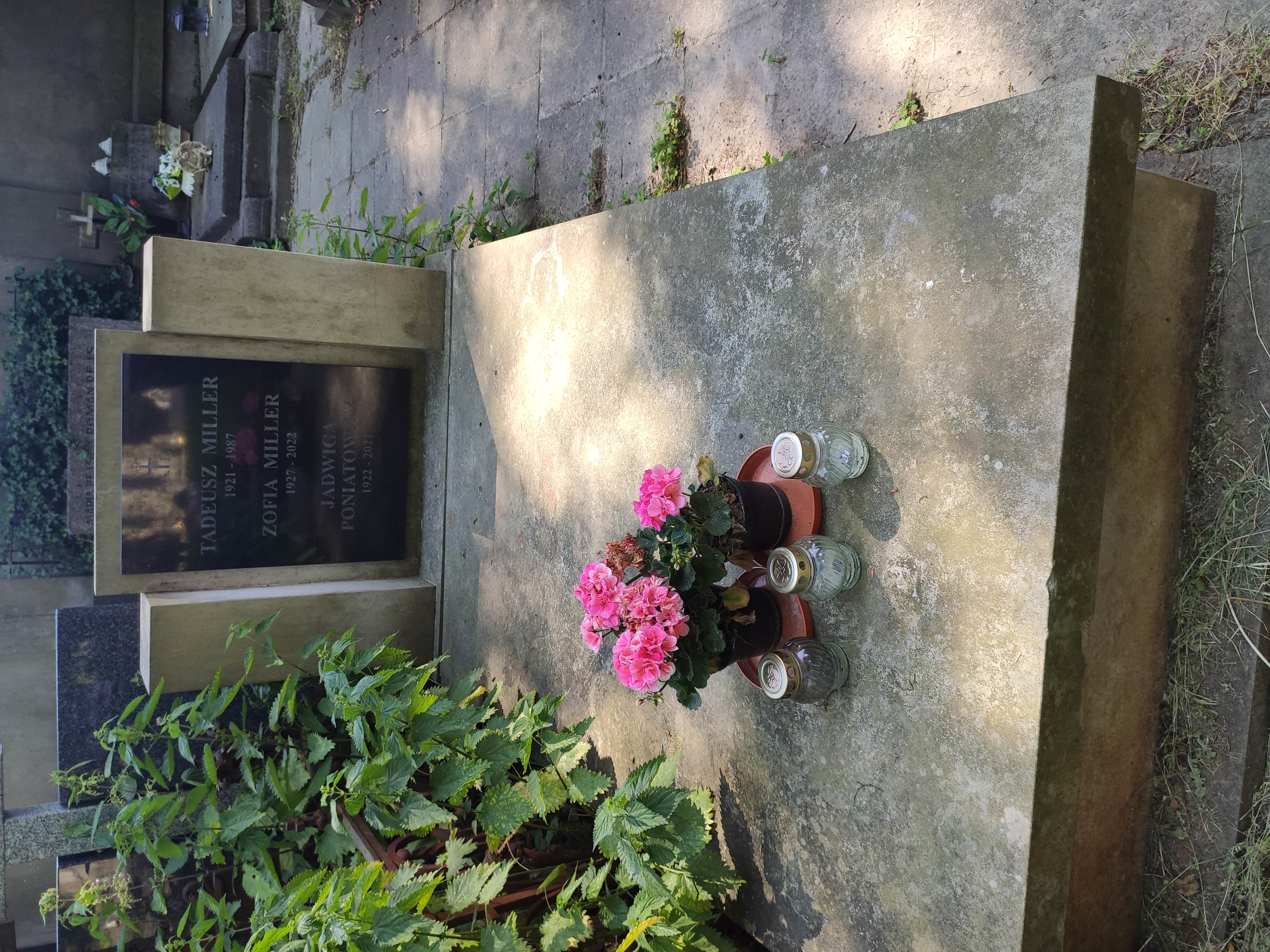 Zofia Miller 1927 Warszawa Ewangelicko-Reformowany - Grobonet - Wyszukiwarka osób pochowanych