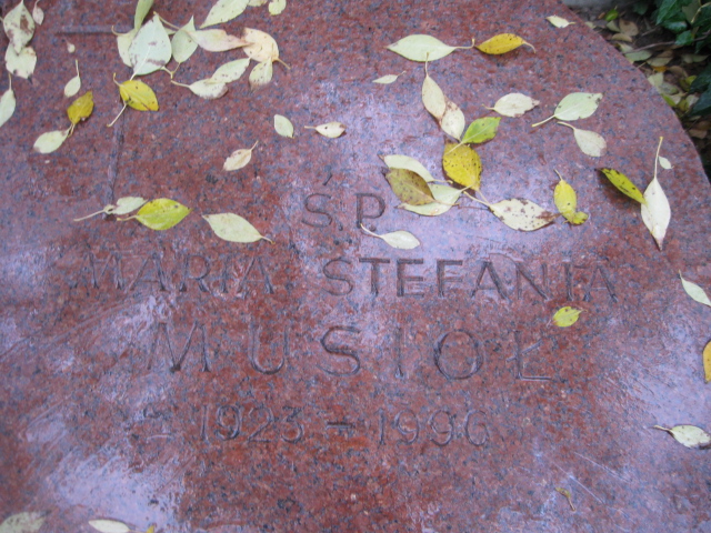 Jacek Barcz 1952 Warszawa Ewangelicko-Reformowany - Grobonet - Wyszukiwarka osób pochowanych