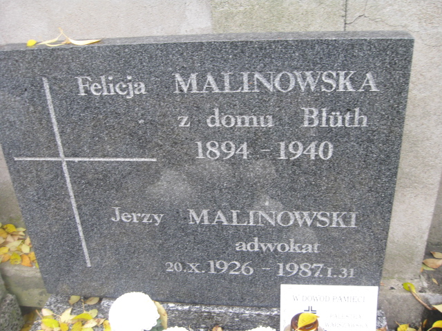 Anna Malinowska 1929 Warszawa Ewangelicko-Reformowany - Grobonet - Wyszukiwarka osób pochowanych